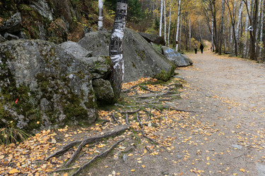 Similar image 8576062