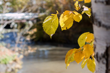 Similar image 8576064