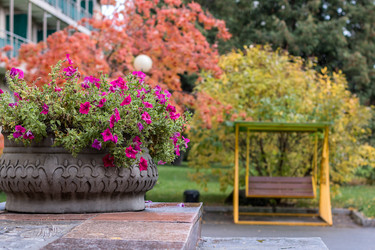 Similar image 8576069