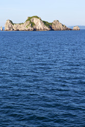 Similar image 8576702