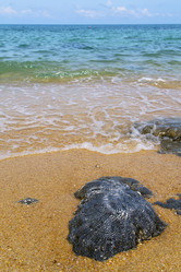 Similar image 8576736