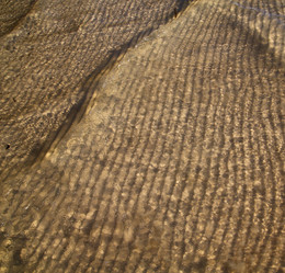 Similar image 8577064