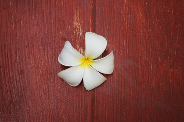 Similar image 8577510