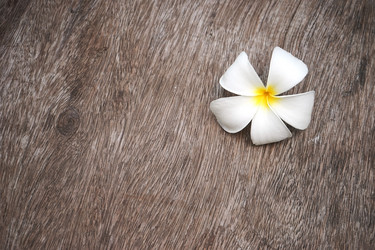 Similar image 8577515