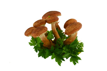 Similar image 8578589