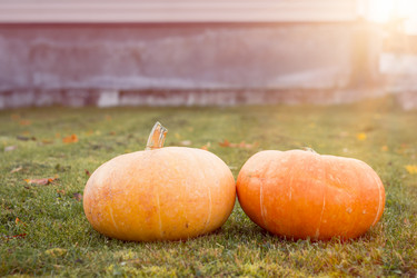 Similar image 8578593