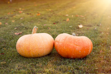 Similar image 8578594