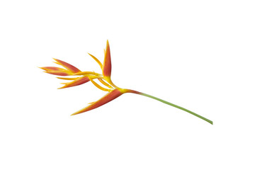 Similar image 8578596