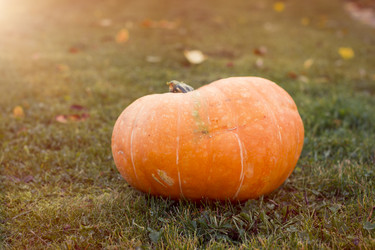 Similar image 8578618