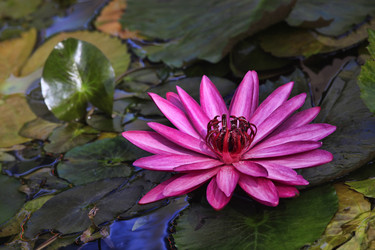 Similar image 8578717