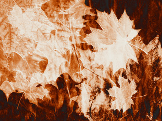 Similar image 8578923