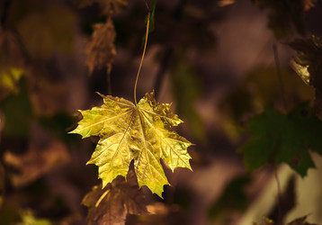 Similar image 8578978