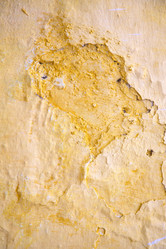 Similar image 8579092