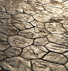 Similar image 8579120