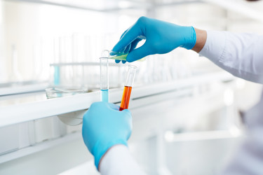 Similar image 8579239