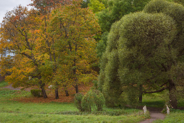 Similar image 8579341