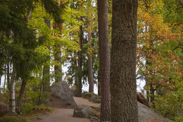 Similar image 8579343