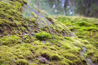 Similar image 8579346