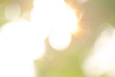 Similar image 8579388