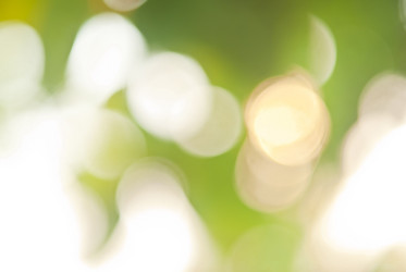 Similar image 8579389