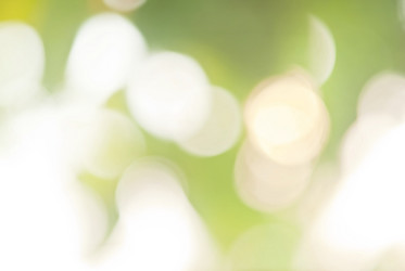 Similar image 8579410