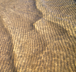 Similar image 8579445