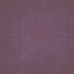 Similar image 8579948