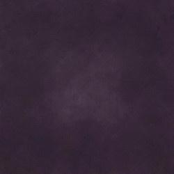 Similar image 8580025