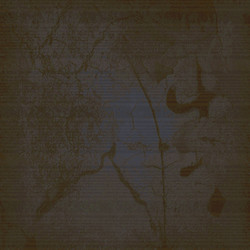 Similar image 8580036