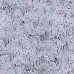 Similar image 8580092