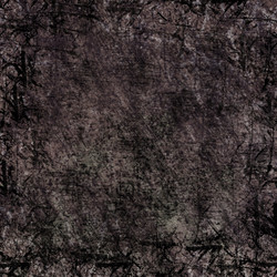 Similar image 8580096