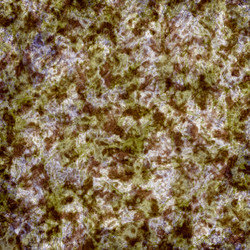 Similar image 8580101