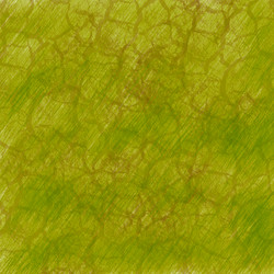 Similar image 8580173