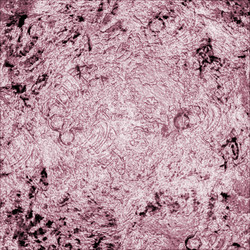 Similar image 8580254