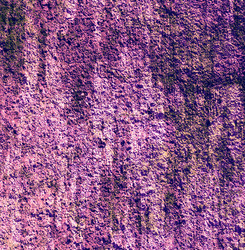 Similar image 8580265