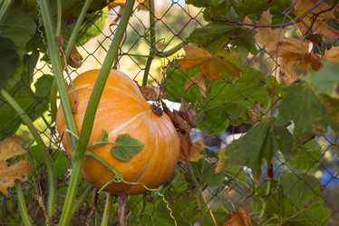 Similar image 8580597