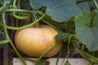 Similar image 8580598