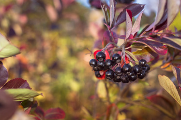 Similar image 8580599