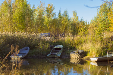 Similar image 8580600