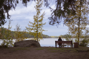 Similar image 8580608