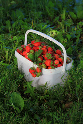 Similar image 8580774