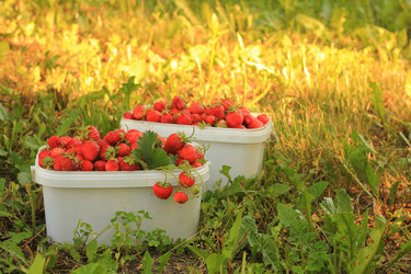 Similar image 8580775