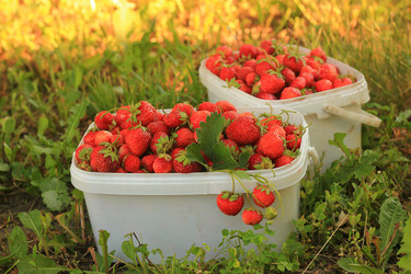 Similar image 8580776