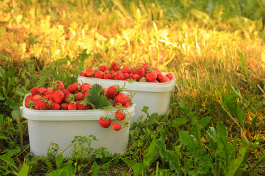 Similar image 8580777