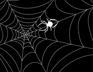 Similar image 8580798