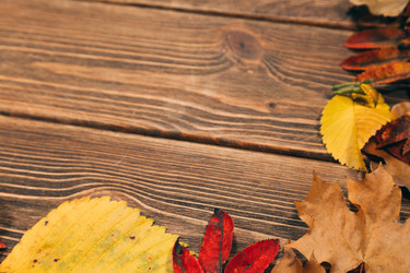 Similar image 8580871