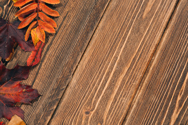 Similar image 8580875