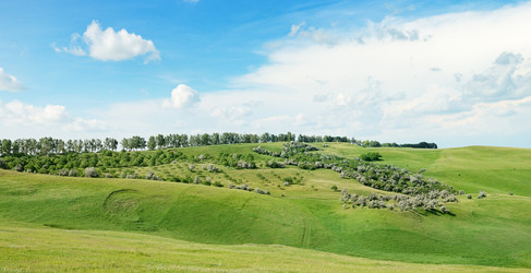 Similar image 8580979