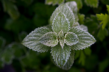 Similar image 8580990