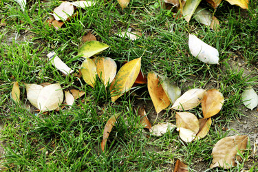 Similar image 8583202